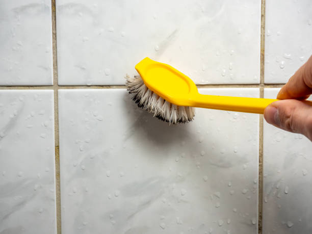 Best Best Mold Removal Companies  in Dewitt, AR