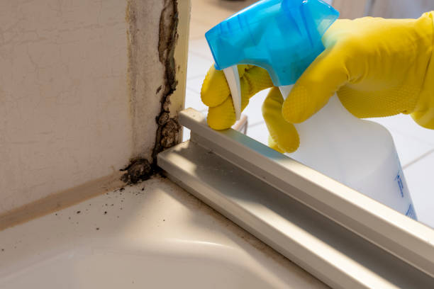 Best Residential Mold Removal  in Dewitt, AR