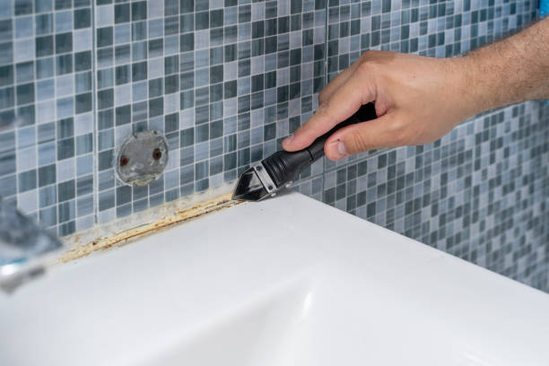 Best Attic Mold Removal  in Dewitt, AR