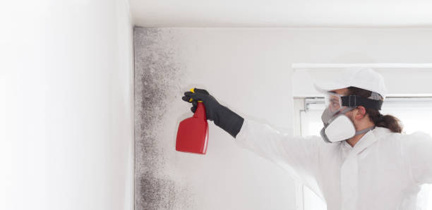 Best Mold Testing  in Dewitt, AR